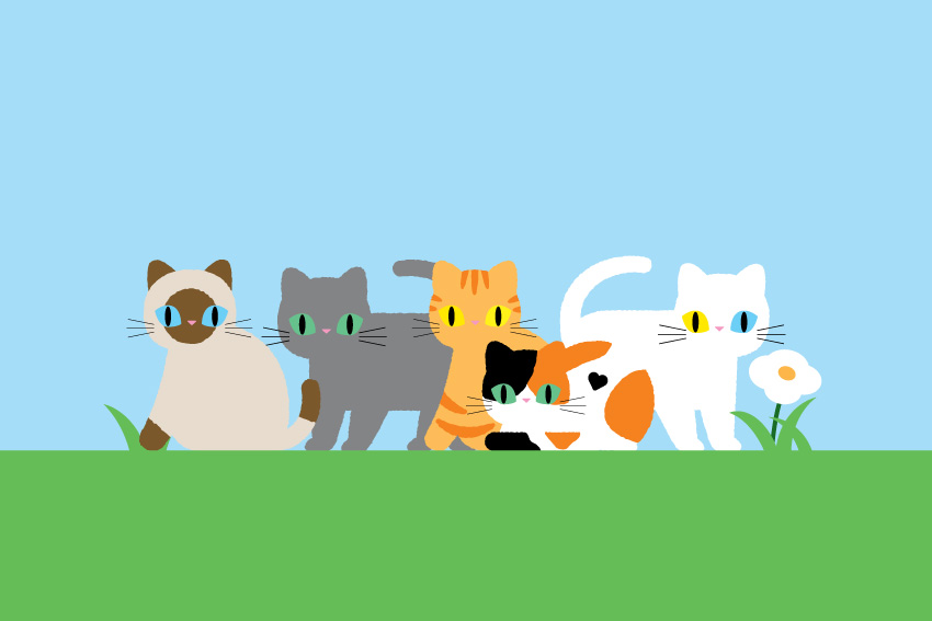 代表角色｜貓咪之家 House of Cats