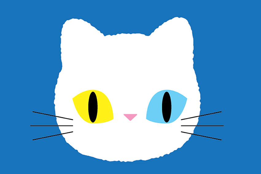 設計風格與特色 1