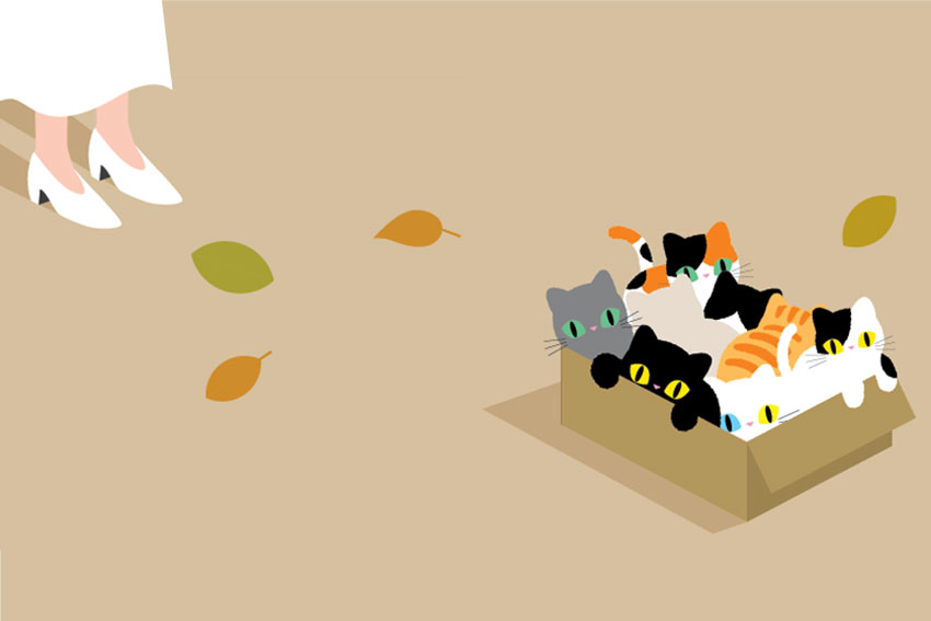 設計風格與特色 2