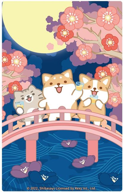 圖片 柴語錄-夜梅