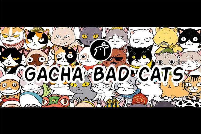 最新消息 泰潮再襲！Kai3 Studio 8/5–8/11 重返台灣文博會