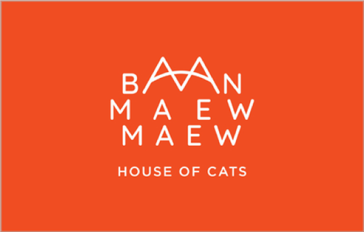 分類圖片 BAAN MAEW MAEW