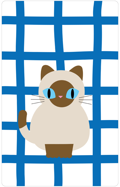 圖片 BAAN-MAEW-MAEW-003