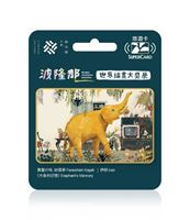 圖片 波隆那世界插畫大獎展主題SUPERCARD悠遊卡-大象的記憶